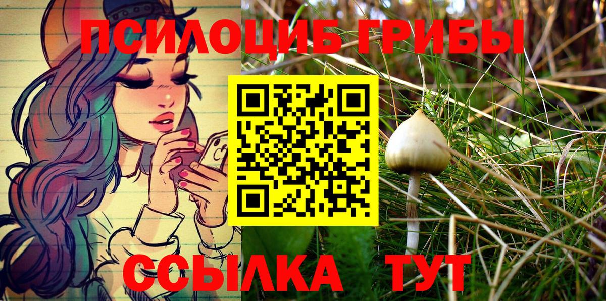 Галлюциногенные грибы ЛСД Лесозаводск