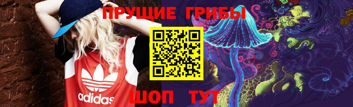 Лесозаводск  купить  сайты  Вход с VPN  Галлюциногенные грибы Magic Shrooms 